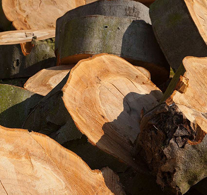 Seasoned Firewood in Northern NJ | David's Tree Care, Fair ...