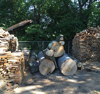 Seasoned Firewood In Northern Nj David S Tree Care Fair Lawn Nj